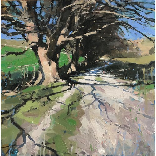Trees on South Chalk path, Study 2024